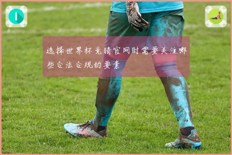 选择世界杯竞猜官网时需要关注哪些合法合规的要素