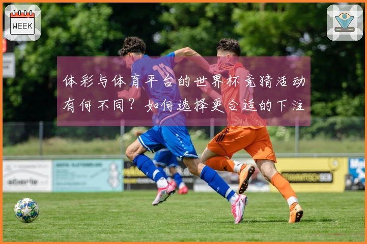 体彩与体育平台的世界杯竞猜活动有何不同？如何选择更合适的下注方式？